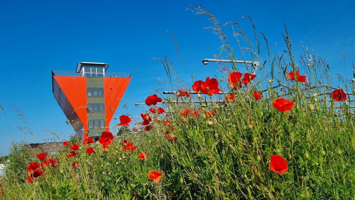 Waterschap Drents Overijsselse Delta tweet media