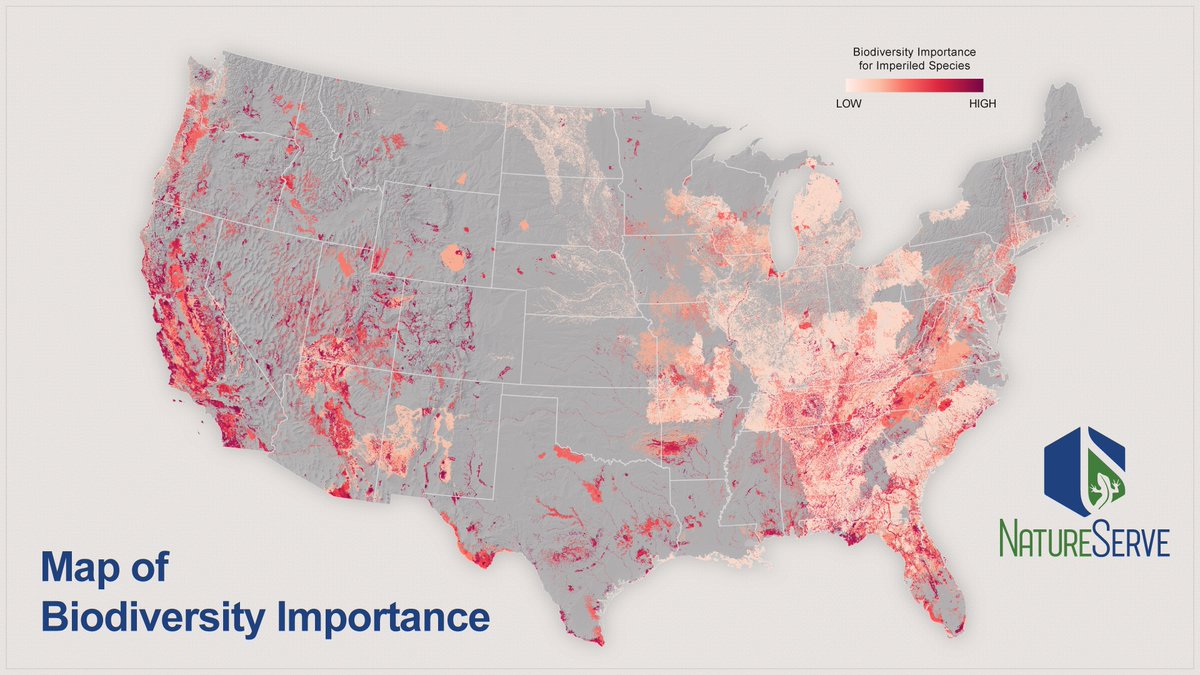 Esri (@esri) on Twitter photo NatureServe's Map of Biodiversity Importance (MoBI) is now nine times more precise. 🦋🌿 Find new biodiversity hotspots and data to aid conservation efforts via ArcGIS Living Atlas and <a href="/natureserve/">NatureServe</a>’s open data portal. esri.social/fmq150SHpW2
#Conservation #Biodiversity NatureServe's Map of Biodiversity Importance (MoBI) is now nine times more precise. 🦋🌿 Find new biodiversity hotspots and data to aid conservation efforts via ArcGIS Living Atlas and <a href="/natureserve/">NatureServe</a>’s open data portal. esri.social/fmq150SHpW2
#Conservation #Biodiversity