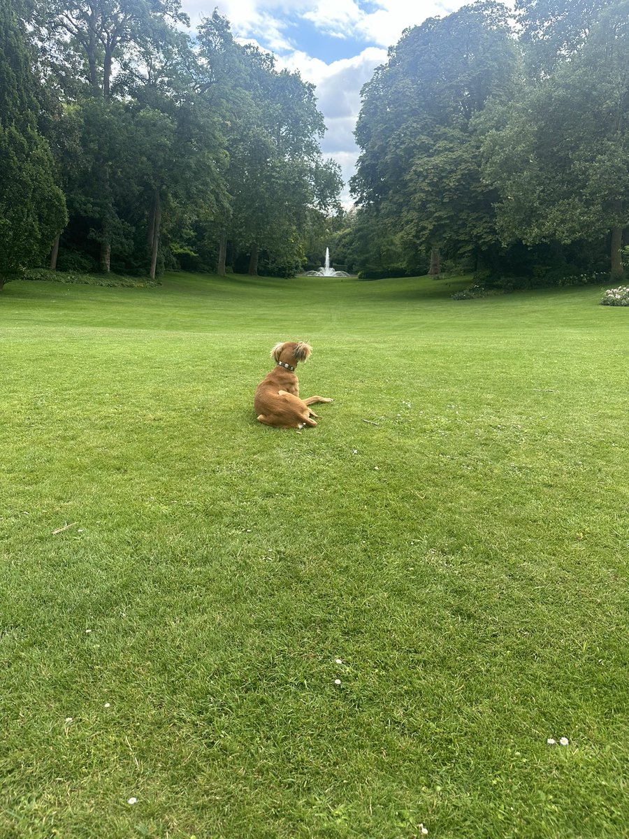 Rachel Axon tweet media