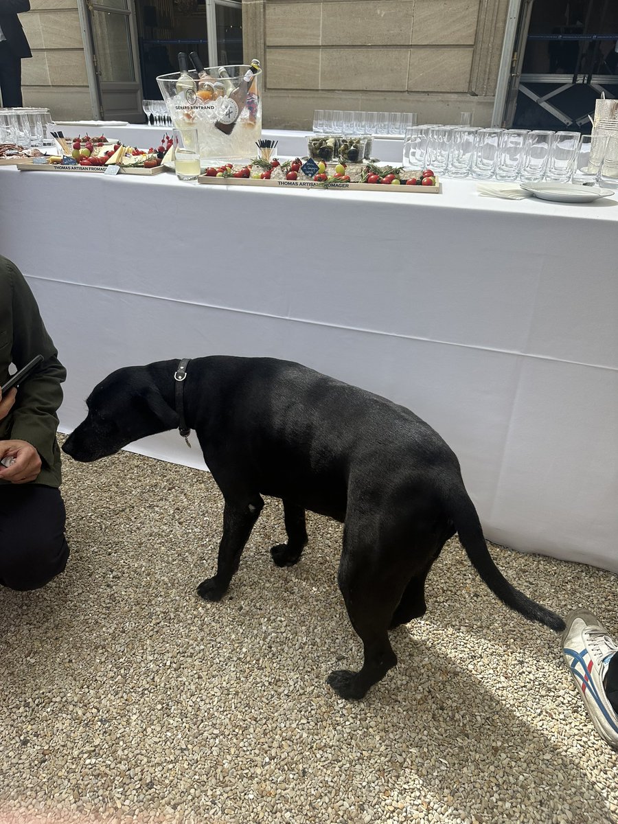 Rachel Axon tweet media