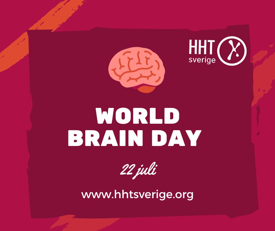 Idag är #WorldBrainDay. Ca 40% personer med HHT har #missbildningar ( #AVM ) i #lungor och/eller i #hjärnan Dessa missbildningar utgör de allvarligaste komplikationerna av sjukdomen och kan leda till #stroke och #blodproppar.  Mer på
hhtsverige.org/resurser #WBD2024