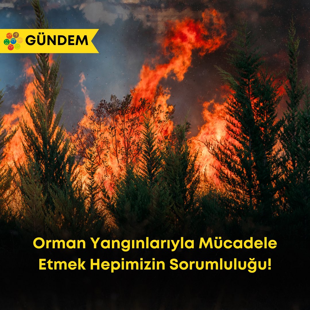 letsdoitturkey's tweet photo. Orman Yangınlarına Karşı Harekete Geç!

Orman yangınları, yalnızca orman ekosistemini değil, aynı zamanda yaban hayatını ve insanları da tehdit eder. Bu felaketlerin önüne geçmek için bilinçli hareket etmek büyük önem taşır. https://t.co/EQSBUVPkSP