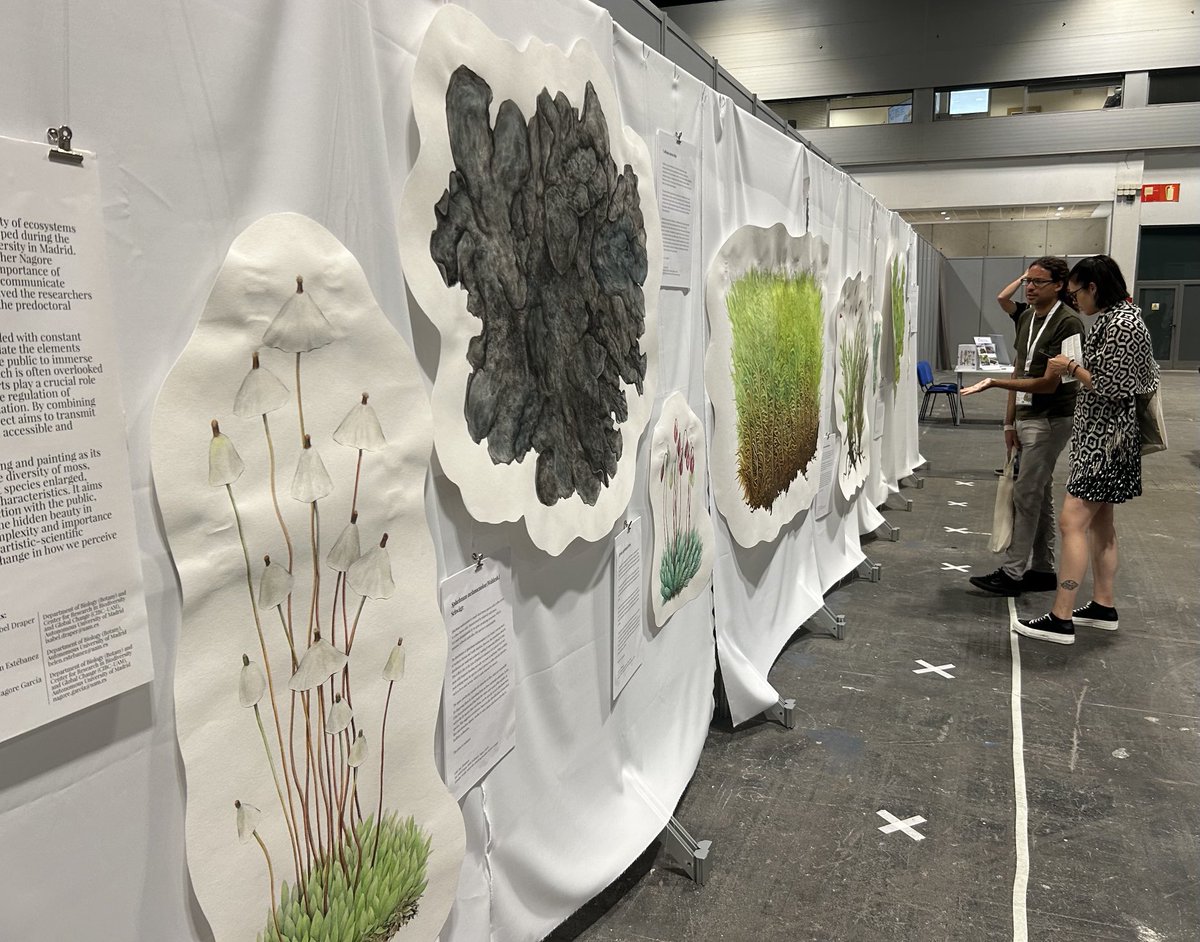 Kathrin Rousk (@kathrin_rousk) on Twitter photo #IBC2024 The #MossCyano team in Madrid…and is very happy to see an entire wall with art dedicated to the most enigmatic groups…#mosses and #lichens! @DanOAlvarenga <a href="/AnnikaEngroff/">Annika Engroff</a> <a href="/CyanoEvo/">Dr Nathan Chrismas</a> <a href="/VOLT_center/">VOLT - Center for Volatile Interactions</a> <a href="/ma_yunyao/">Yunyao Ma</a> #IBC2024 The #MossCyano team in Madrid…and is very happy to see an entire wall with art dedicated to the most enigmatic groups…#mosses and #lichens! @DanOAlvarenga <a href="/AnnikaEngroff/">Annika Engroff</a> <a href="/CyanoEvo/">Dr Nathan Chrismas</a> <a href="/VOLT_center/">VOLT - Center for Volatile Interactions</a> <a href="/ma_yunyao/">Yunyao Ma</a>