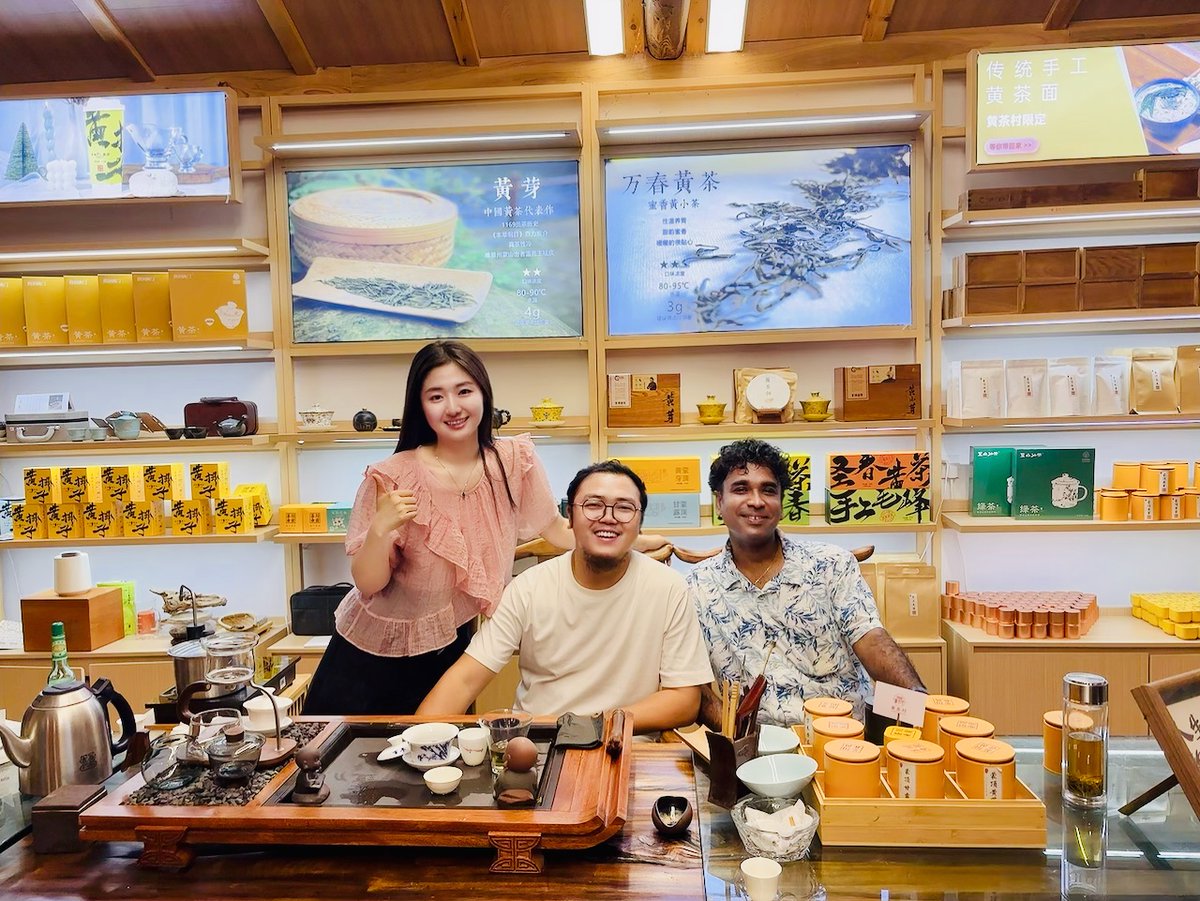 xu_csc's tweet photo. Yellow Tea , A Rare and Refined Brew from the Mengding Mountains 蒙顶山 (yǎān huángchá cūnmínsù) #yellowtea #tea #mengdingmountains https://t.co/Dbd77n8vmv