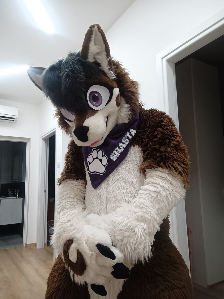 Shasta_Devrik's tweet photo. No Hugs? 👉👈

🪡 @LilacDreamST (Shasta)
📸 Me
.
.
.
.
.
.
.

(Skippable Tags)
#furry #furryfandom #furryoc #originalcharacter #oc #fursuitmaker #originalcharacterart #fursona #husky #huskyfurry #huskyfursona #dog #dogfurry https://t.co/3Sbh8UWpgK