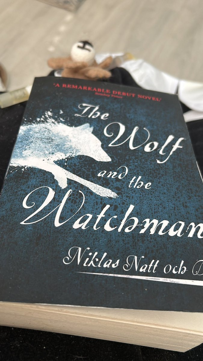 ConcannonAnna's tweet photo. @booksaremybag Still rereading The Ghost Ship by @katemosse and just started The Wolf And The Watchman by #niklasnatochdag https://t.co/tPZdDS72FD