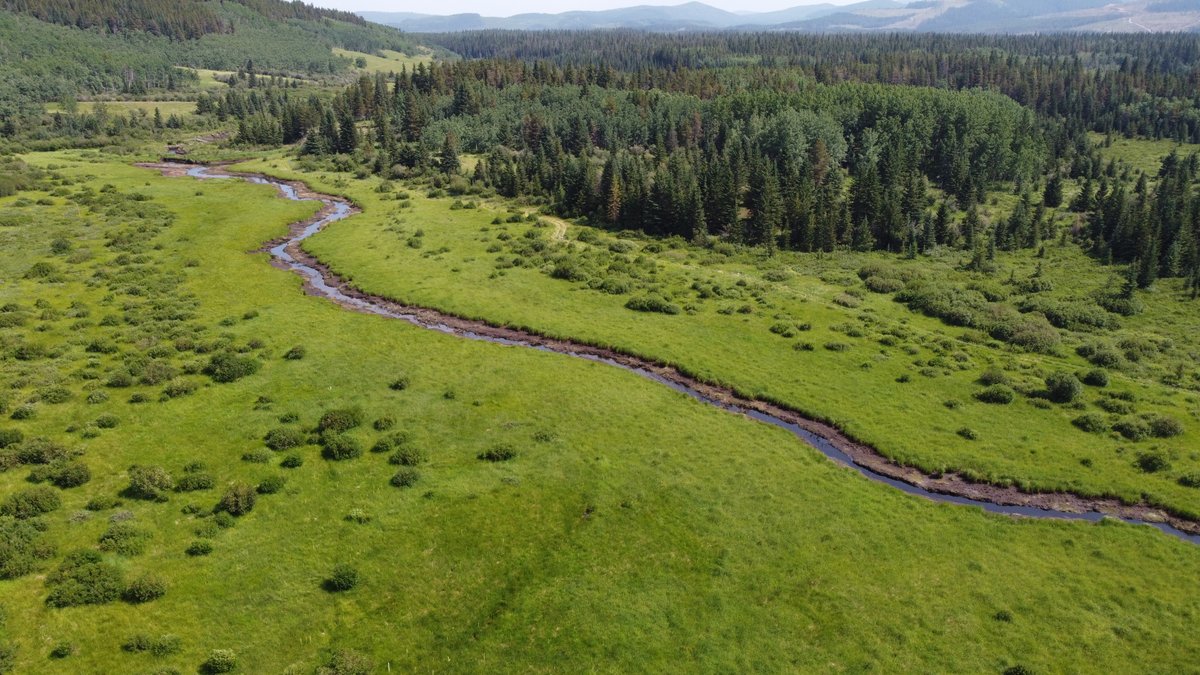 Cherie Westbrook tweet media