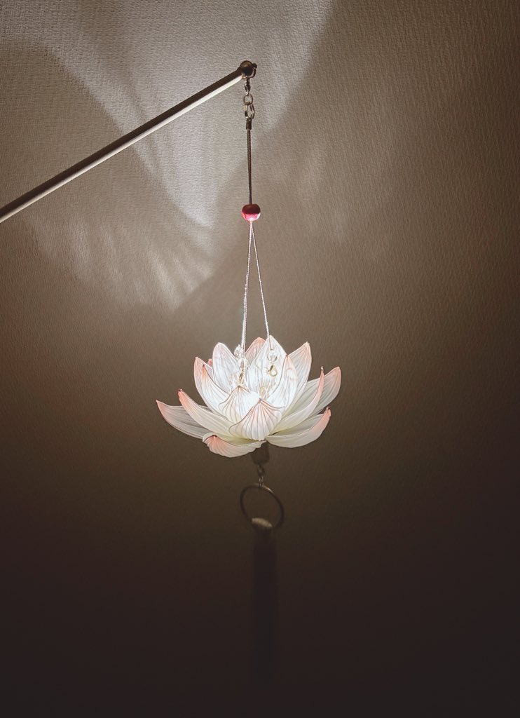 あんみつ (@69dokukinoko69) / Posts / X