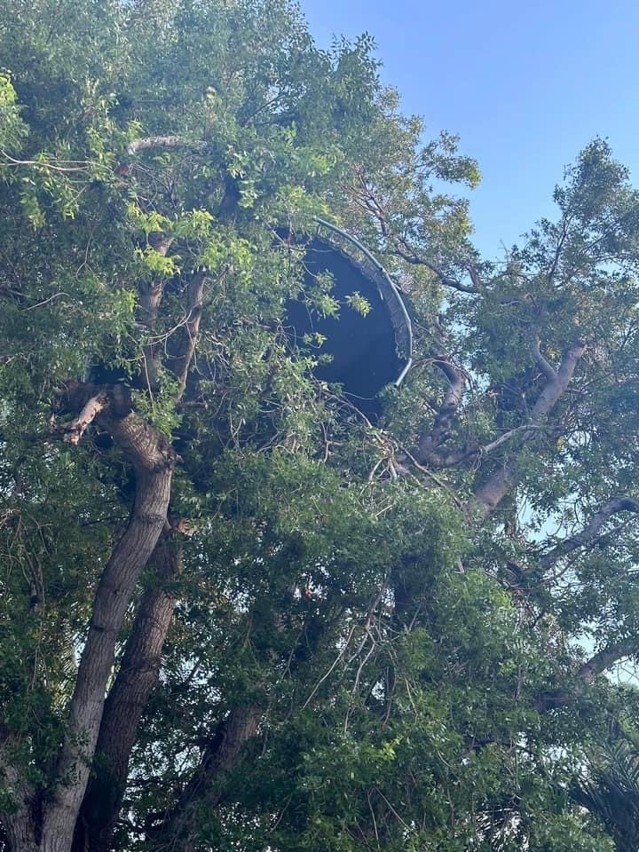 NWSKeyWest's tweet photo. Last night, a strong storm moved through portions of Plantation Key. Thanks to those who sent in damage reports. Based on the damage seen, we have determined that this event was likely a wet microburst.
📸: Cathy Warner
#flwx #UpperKeys #PlantationKey https://t.co/BG3piOK1p4