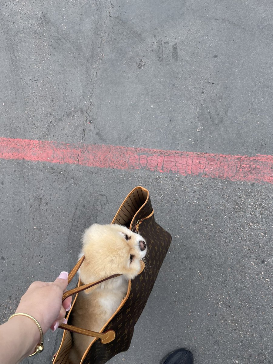 👸🏼Princess tweet media