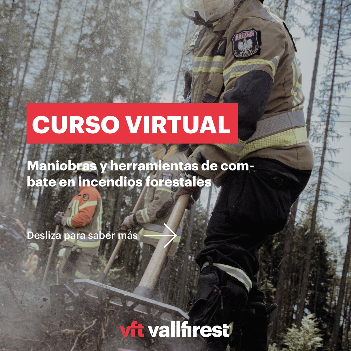 vallfirest tweet media