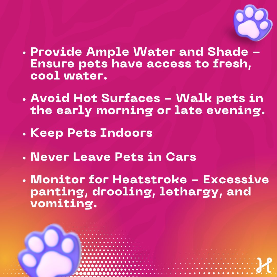 allhealthgo's tweet image. Keep your furry friends safe and cool with these essential tips 🌞🐾

bit.ly/3zM8LZh
#PetSafety #HeatWaveTips #ProtectYourPets