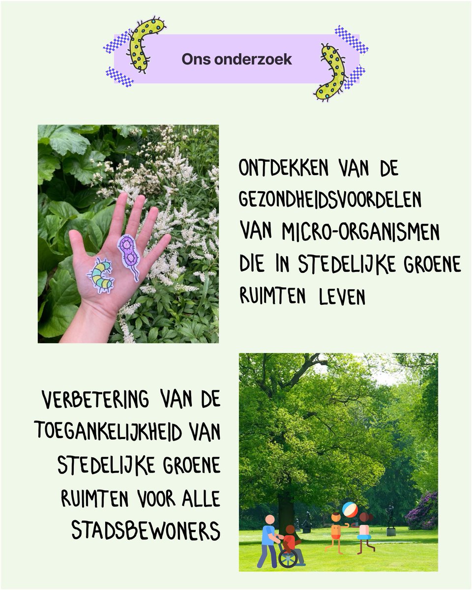 BUGS_uantwerp's tweet photo. Welkom bij het burgerwetenschapsproject BUGS gelanceerd door de Universiteit Antwerpen met de steun van IMPETUS! Volg ons en kijk op onze website om op de hoogte te blijven van onze aankomende activiteiten en meer te leren over stedelijk groen en de gezondheidsvoordelen ervan! https://t.co/nM9oTdtony
