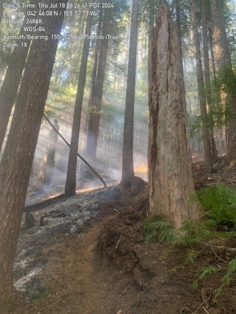 Rogue River-Siskiyou NF tweet media