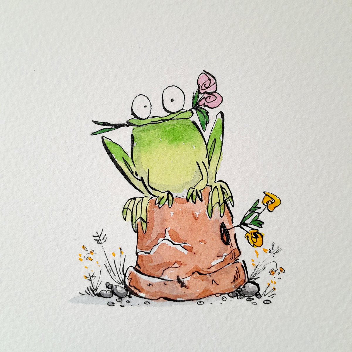 Frog on a pot...