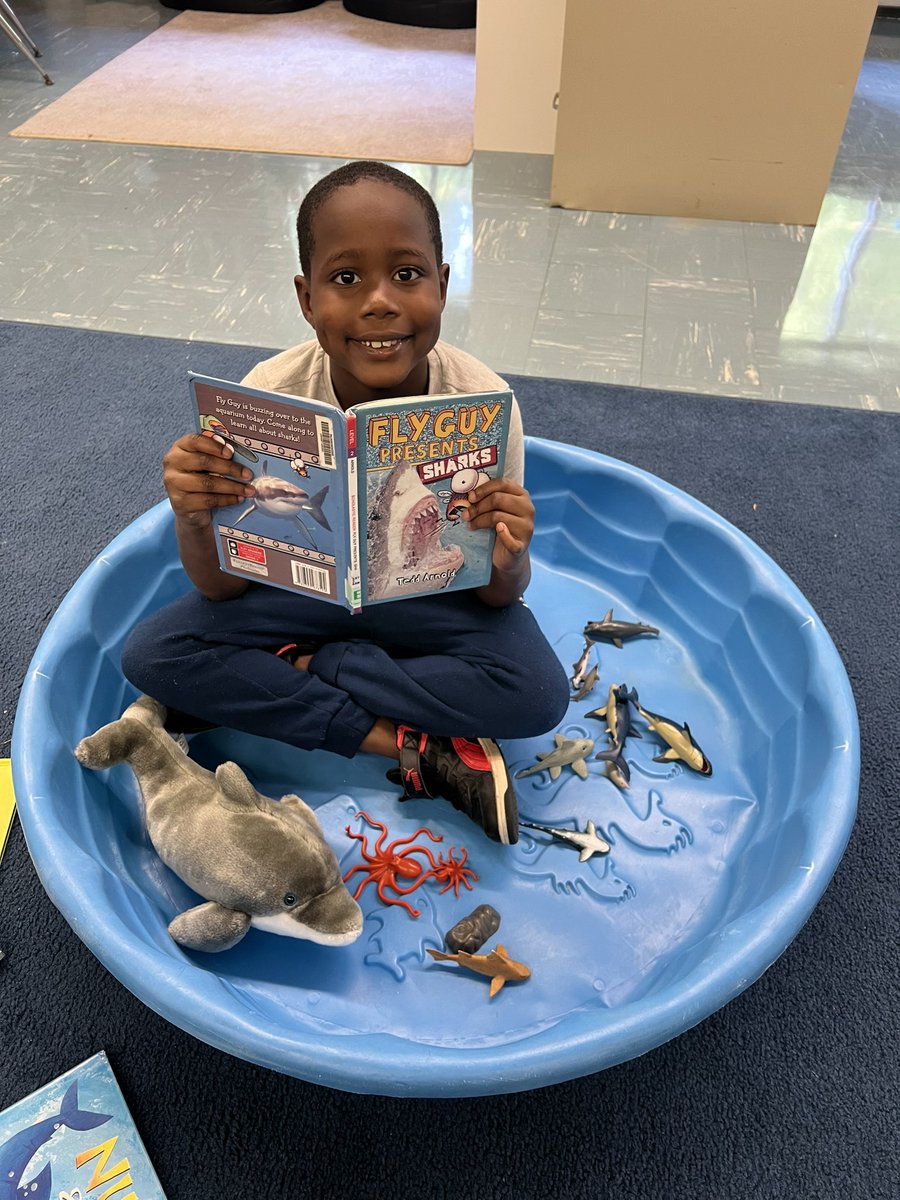 Sand, floats, and sea animals…can you tell it’s BEACH WEEK in the reading room? ☀️🦈 🏖️ <a href="/csd_south/">SouthColonieCSD</a>
