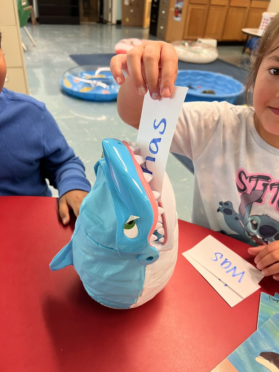 mrs__kaiser's tweet photo. Sand, floats, and sea animals…can you tell it’s BEACH WEEK in the reading room? ☀️🦈 🏖️ @csd_south https://t.co/dDPVQGD7xu