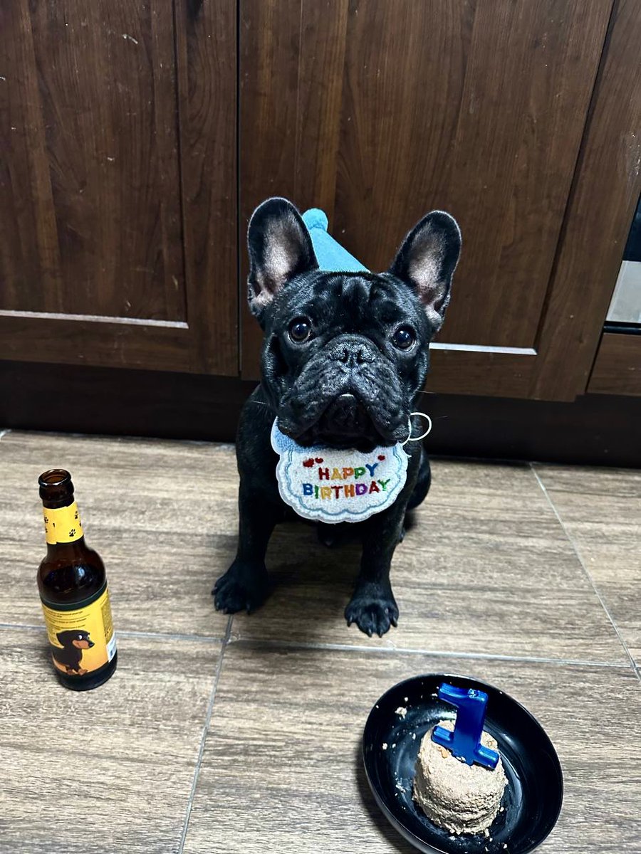 ForzaZSP's tweet photo. Булке год 🥳🥂 https://t.co/1zMArCjjqL