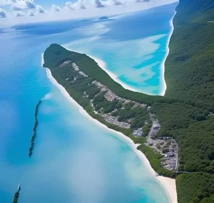 Nature is amazing