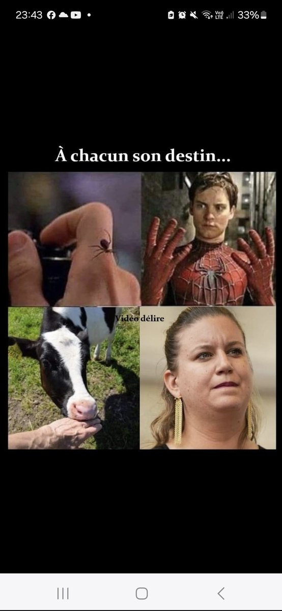 Rudy (@rudy_landes) on Twitter photo 