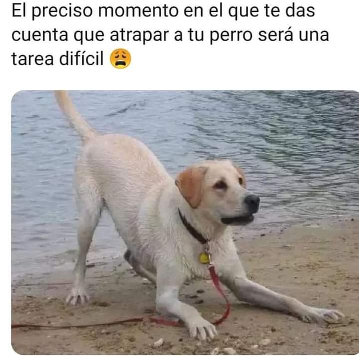 🤣🤣🤣🤣🤣🤣