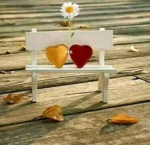 💕أمل الندى💕 tweet media