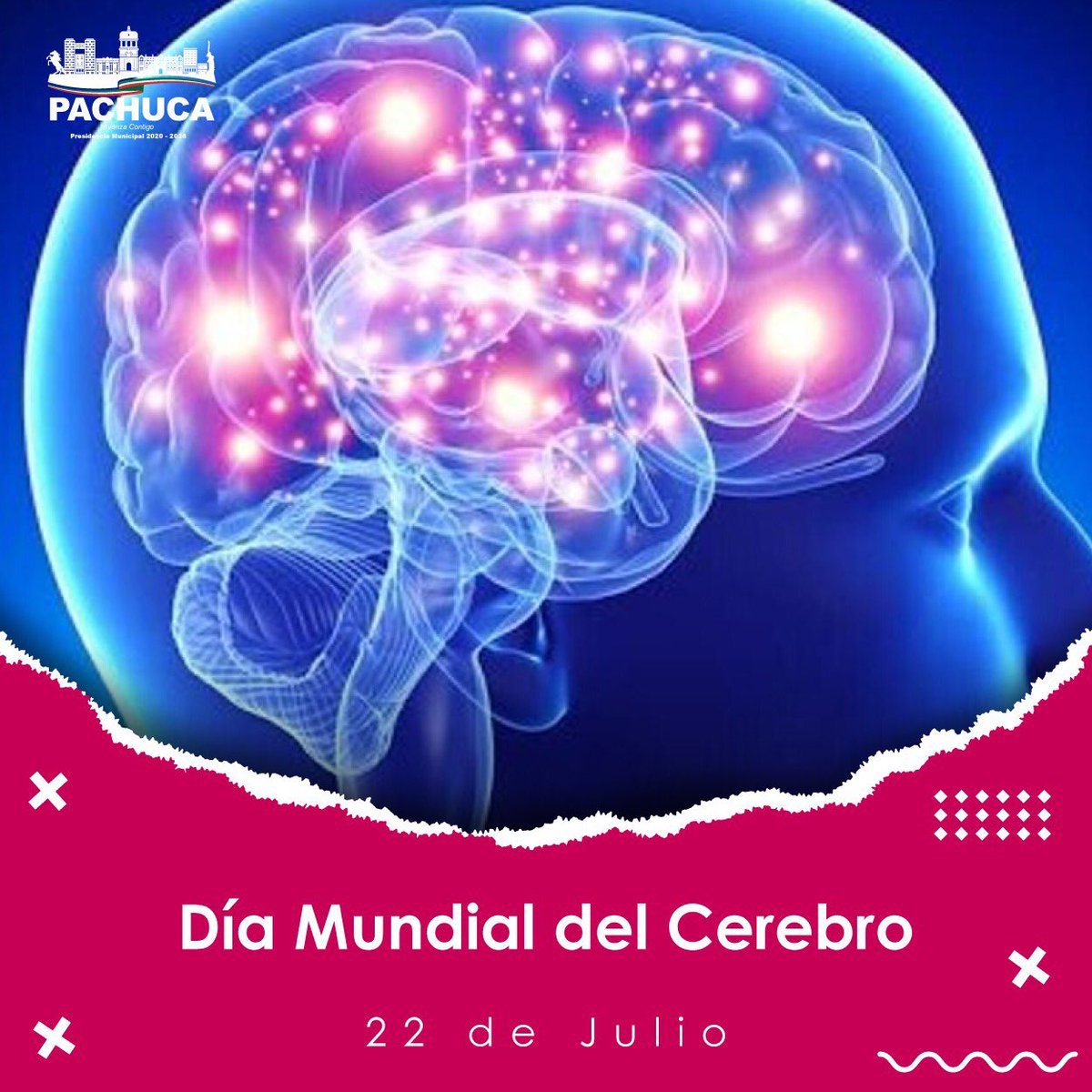 ¿Sabias que?

🗓️22 de julio: Día Mundial del Cerebro 🧠
💪🏻Representa un 2% del peso corporal y termina de crecer en su totalidad a los 25 años de edad.

#PachucaVibra 

<a href="/sergiobanosr/">Sergio Baños Rubio</a> /// <a href="/RicardoRiveraB3/">Ricardo Rivera Barquín</a> 
<a href="/PachucaGob/">H. Ayuntamiento de Pachuca</a>