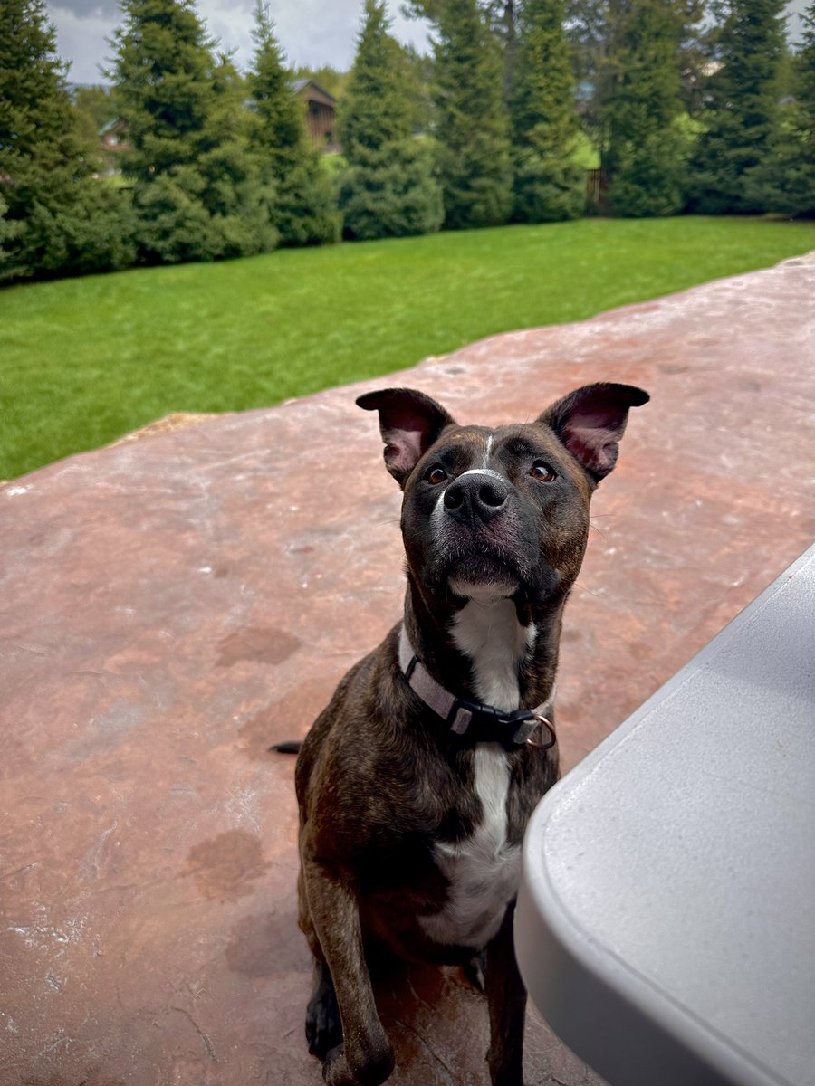 kelbediah's tweet photo. It’s not goodbye it’s see you later sweet girl ❤️💔❤️💔 https://t.co/sful5hTFMs