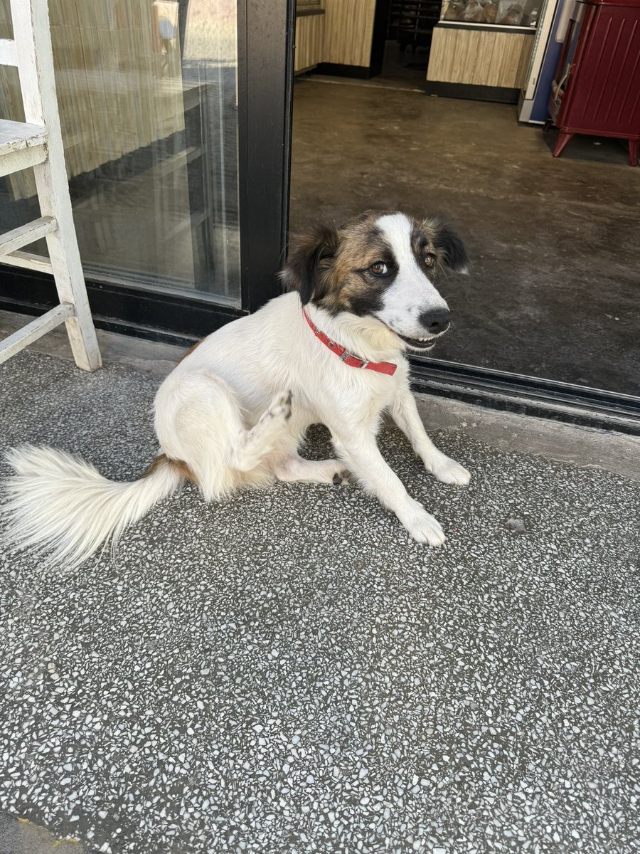 Sen mi yarattın da öldürmek için yasa çıkarıyorsun?