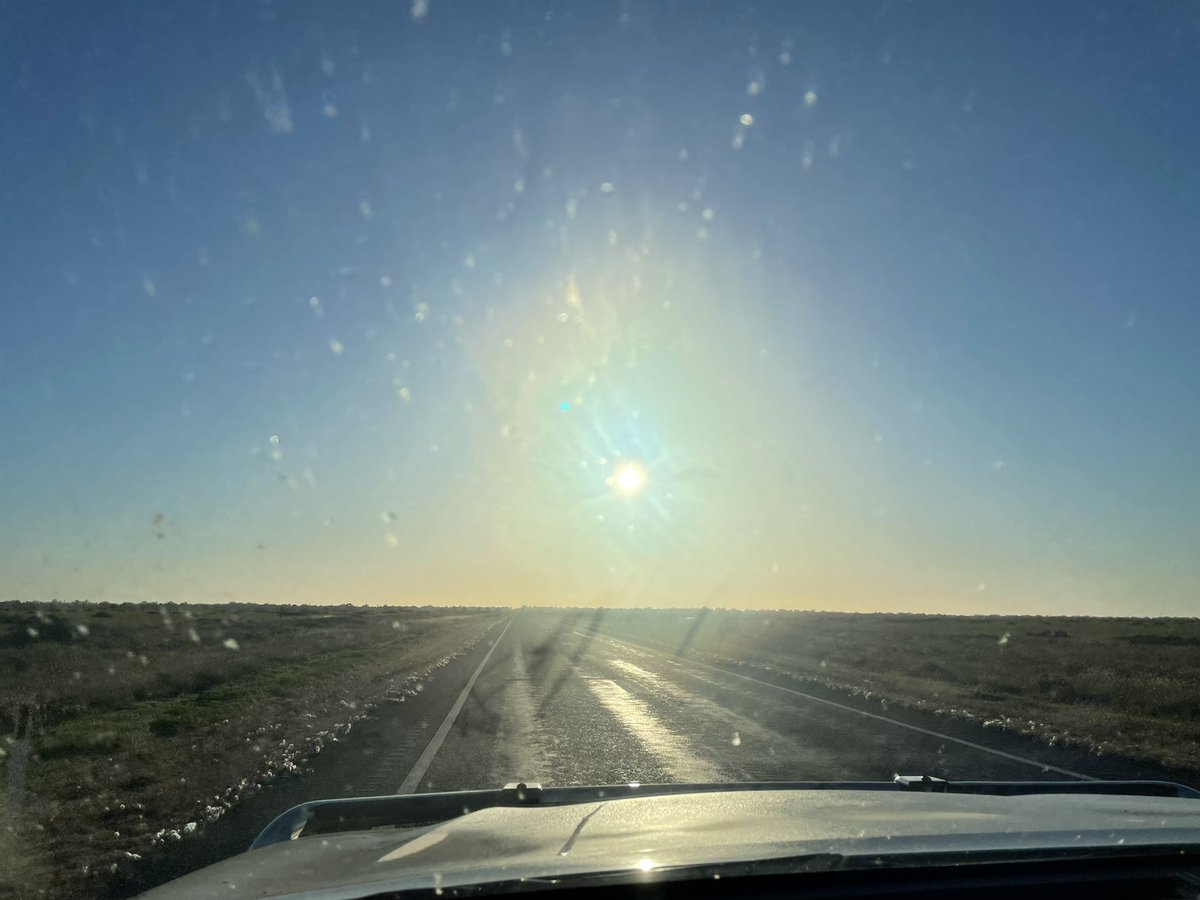 Excellent visibility this morning driving north from Brewarrina. Not.