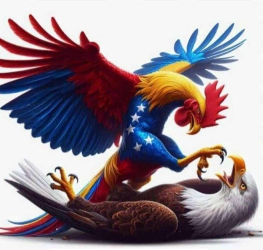 <a href="/AlertaMundoNews/">Alerta Mundial</a> 🐓