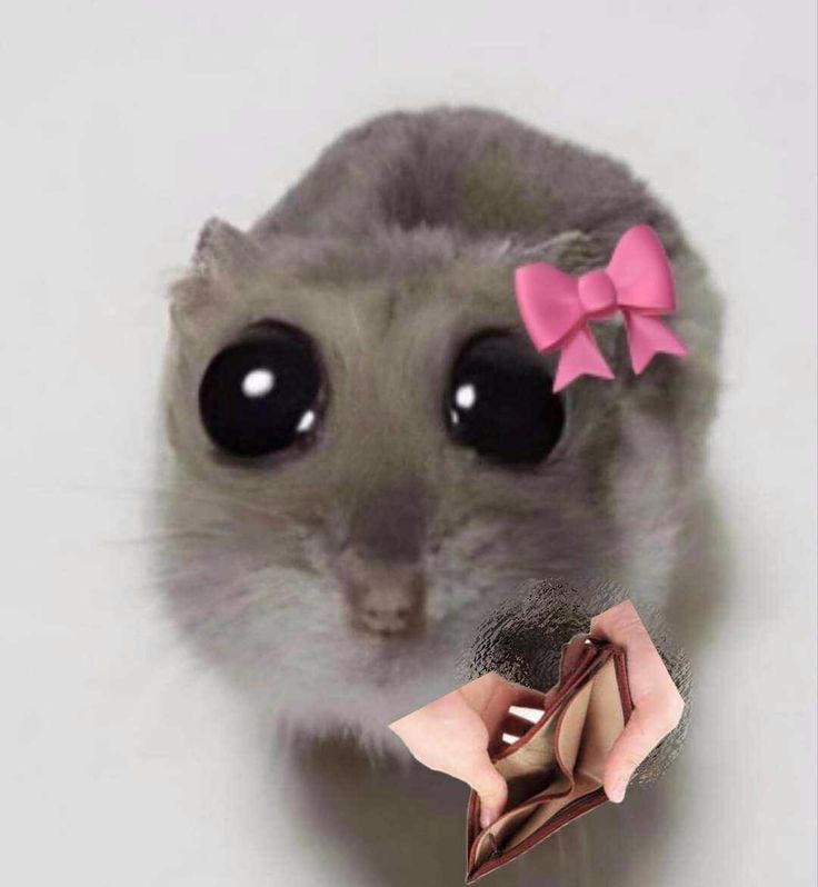 —Hace mucho que no me das un regalo, <a href="/donkcyskin/">𝐀bel</a>.