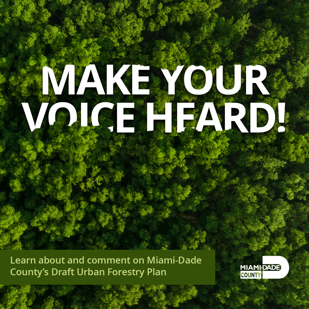 MDCEnvironment's tweet photo. Join us for a Public Workshop on the Miami-Dade County Urban Forestry Plan! 🌳

We're aiming for 30% tree canopy with @MayorDaniella, @MiamiDadeRER, @MiamiDadeParks , and @MiamiDadeOOR. 🌳

Details on both virtual and in-person workshops below! ⬇️

Register on our #linkinbio. 🔗 https://t.co/mpK97qOe49