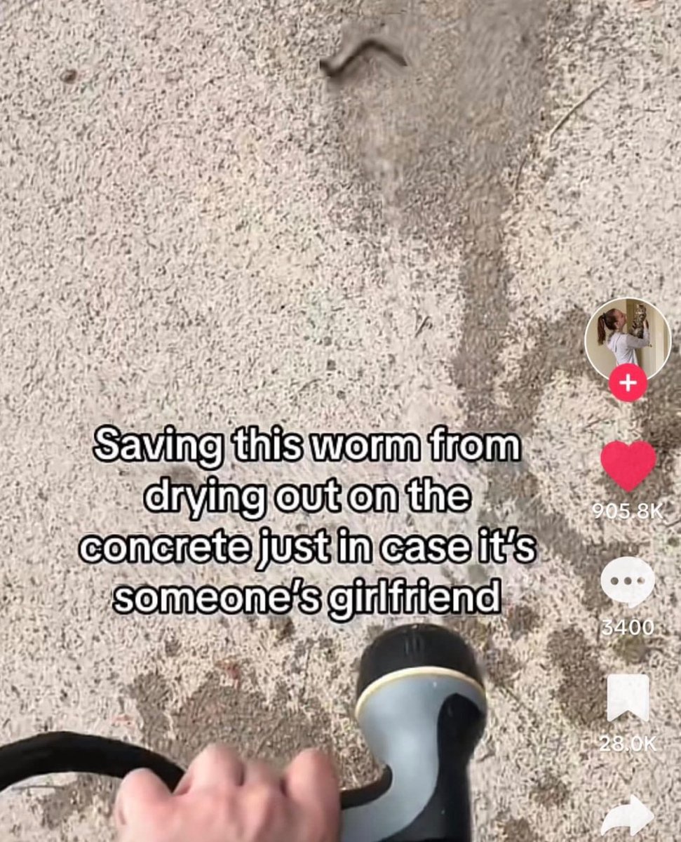 no context memes (@weirddalle) on Twitter photo 