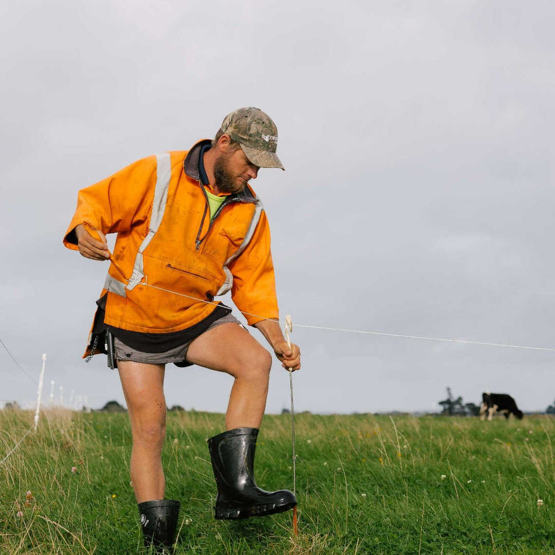 Do you know of anyone that wants to get into the agricultural sector and might be interested in an apprenticeship with Pāmu? This is a great opportunity to earn and learn at the same time! 

Applications are being taken until the end of July. 

pamunewzealand.com/apprenticeship…