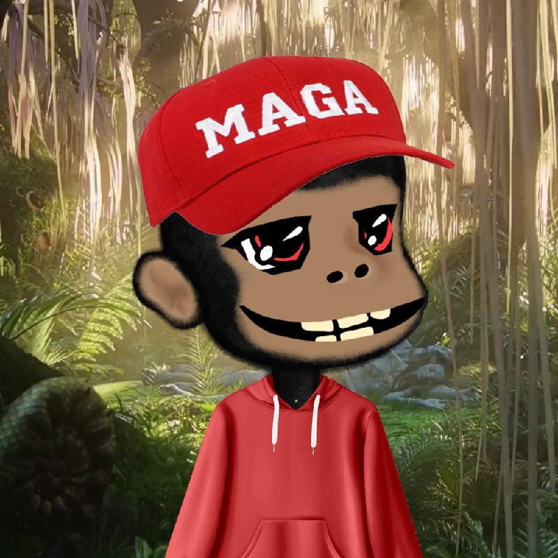 Full Free Public launchmynft.io/collections/6F…