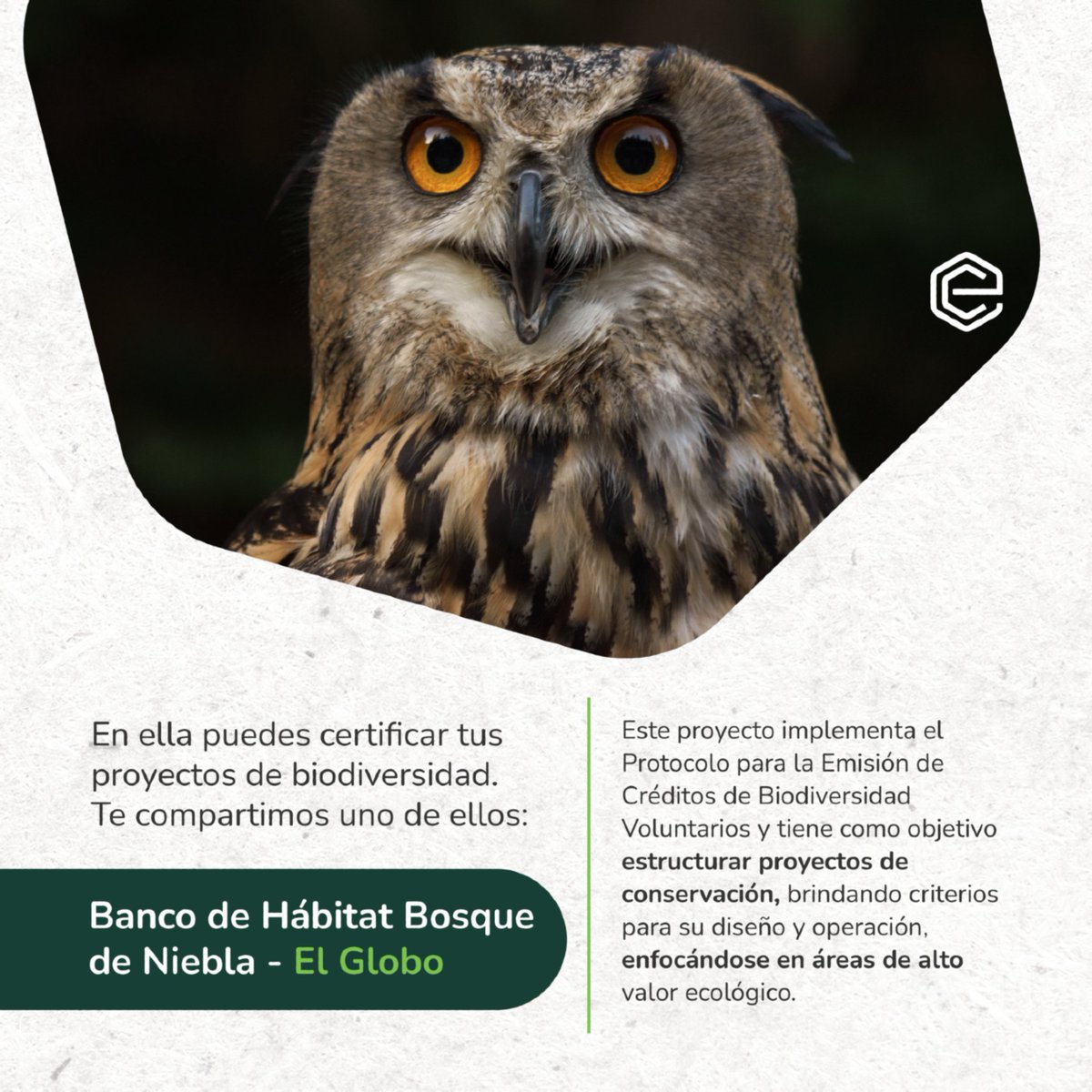 Ecoclic_'s tweet photo. Biotrust, es una de nuestras plataformas de la línea ambiental, EcoClic, que les permite a las empresas contribuir con la conservación, preservación y restauración de la biodiversidad. 

Te invitamos a conocer más de Biotrust aquí: https://t.co/ijmhxmsBjZ

#XM #Biotrust #EcoClic https://t.co/iInnl9fKJz