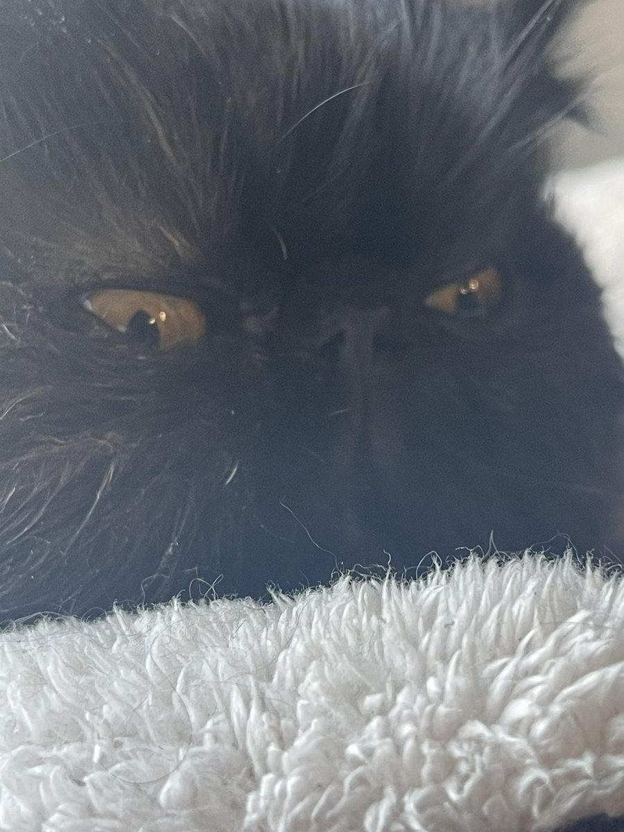 did Ime (Werner Herzog) leave. The oven on……