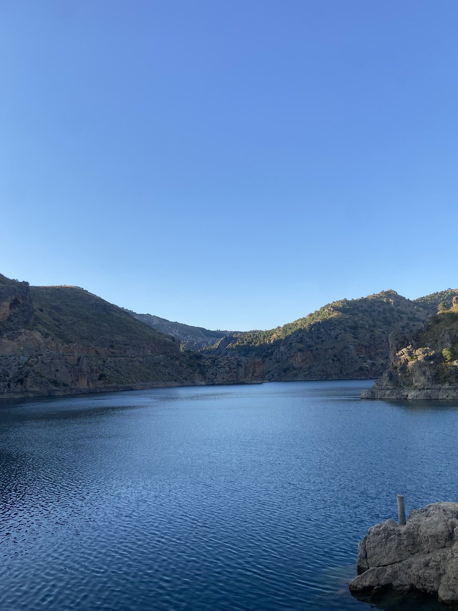 celis🌷 tweet media