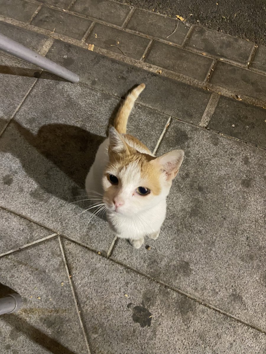 celis🌷 tweet media