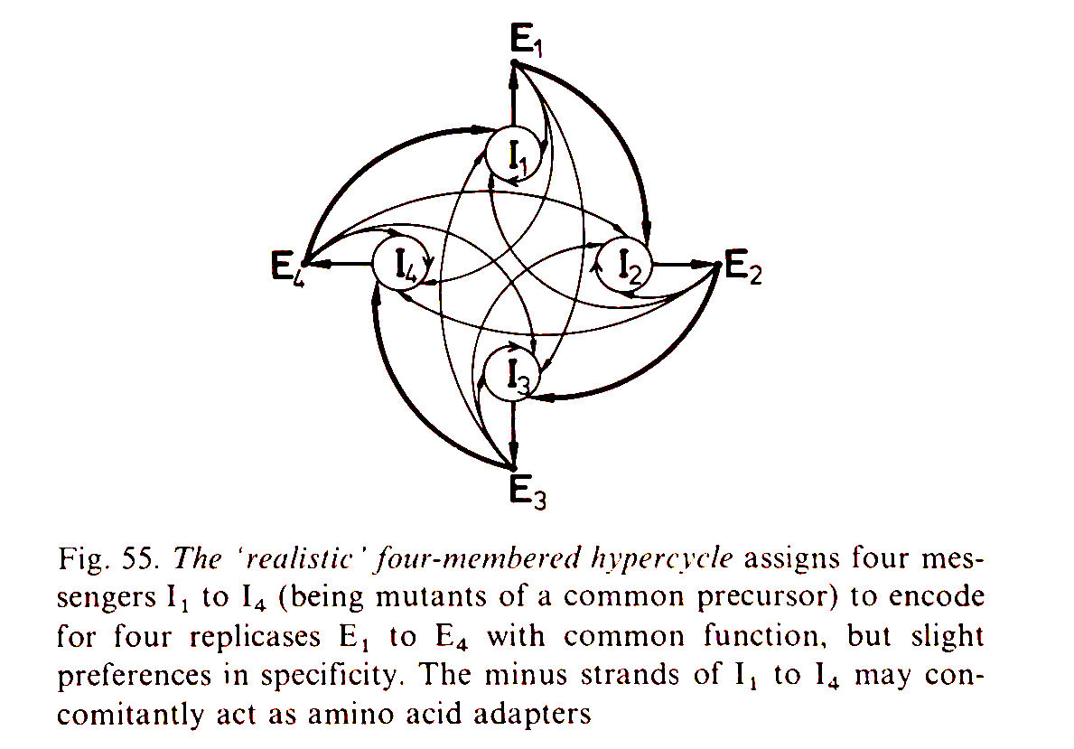 Eigen's hypercycles are great for conceptualizing the function of self-organizing chemical structures, but leaves a void when it comes to the origin of those very structures. For this Hakens explication of circular causality is very illuminating.
