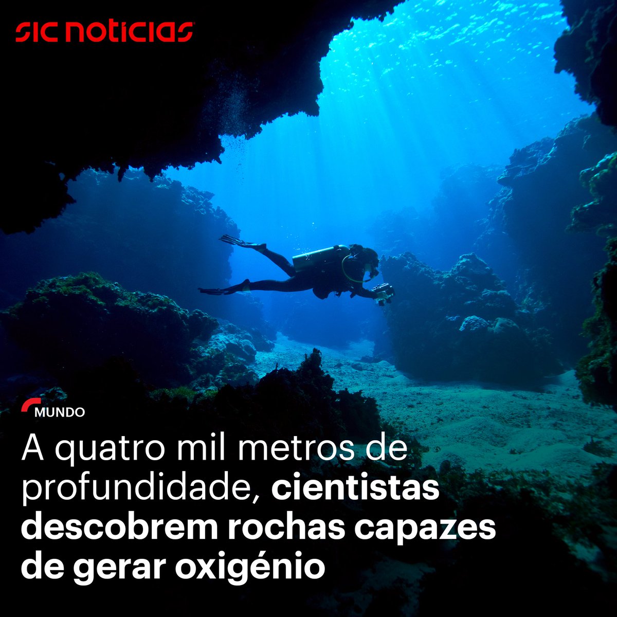 SICNoticias's tweet photo. Esta descoberta está a levantar várias dúvidas sobre como começou a vida na Terra, já que até aqui se acreditava que apenas plantas e algas eram capazes de produzir oxigénio por meio da fotossíntese.

Saiba mais em https://t.co/j8xrttu5X1 https://t.co/iOMxVl1Fw9