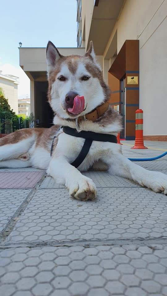 SKAAR..
#yasadeğilCİNAYET