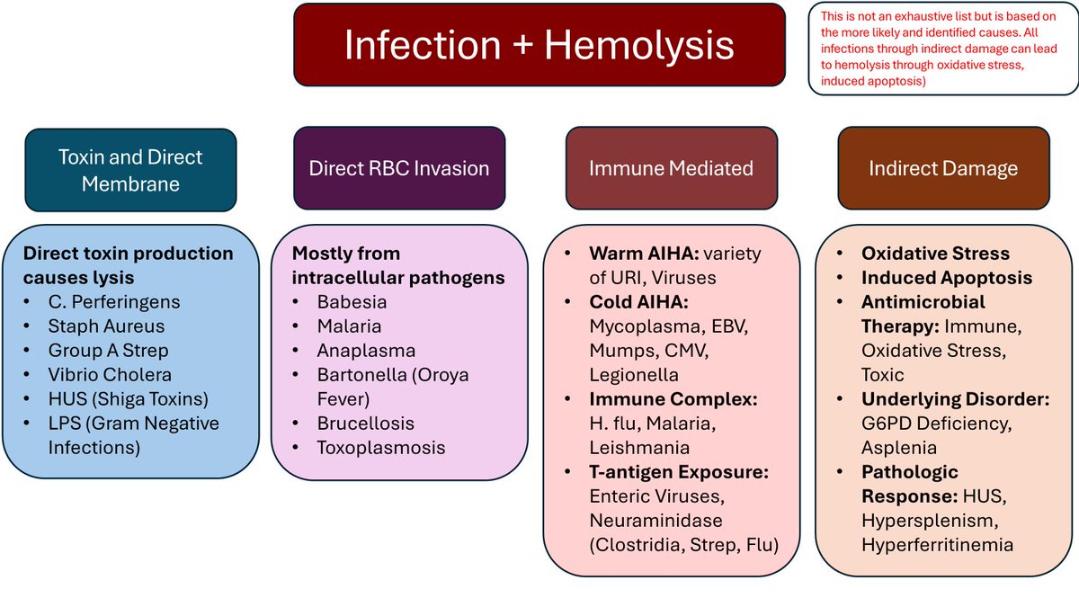 Noah Rosenberg, MD tweet media