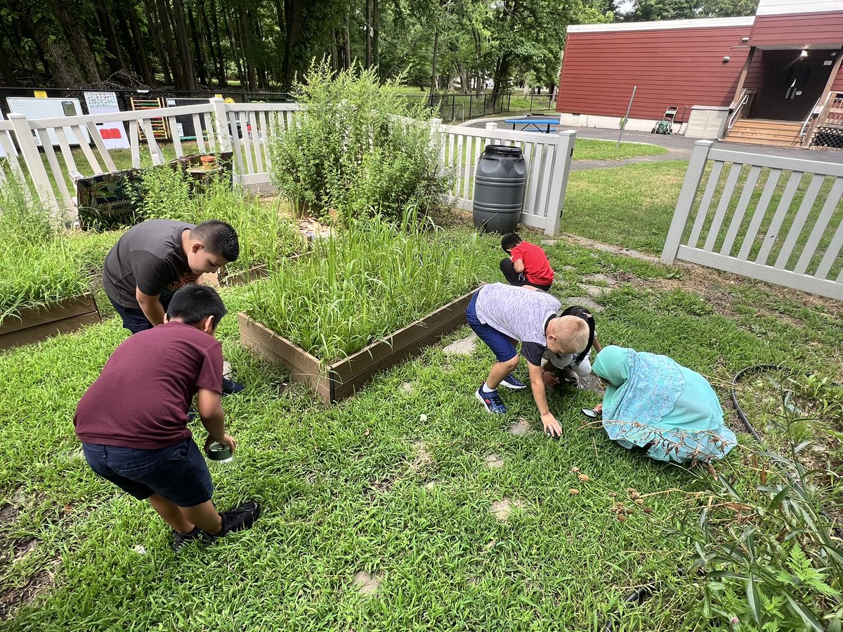 Michelle Liwacz tweet media