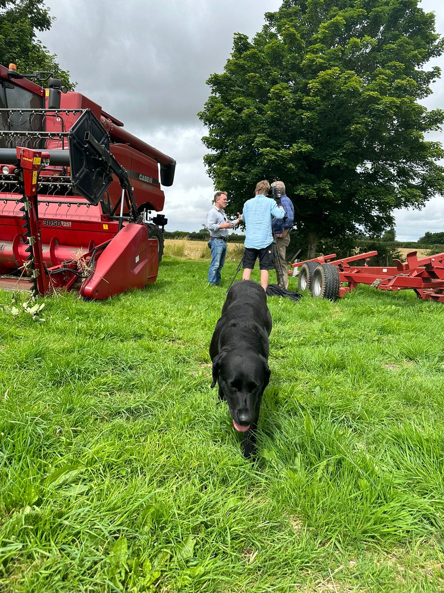 Dom Morris tweet media