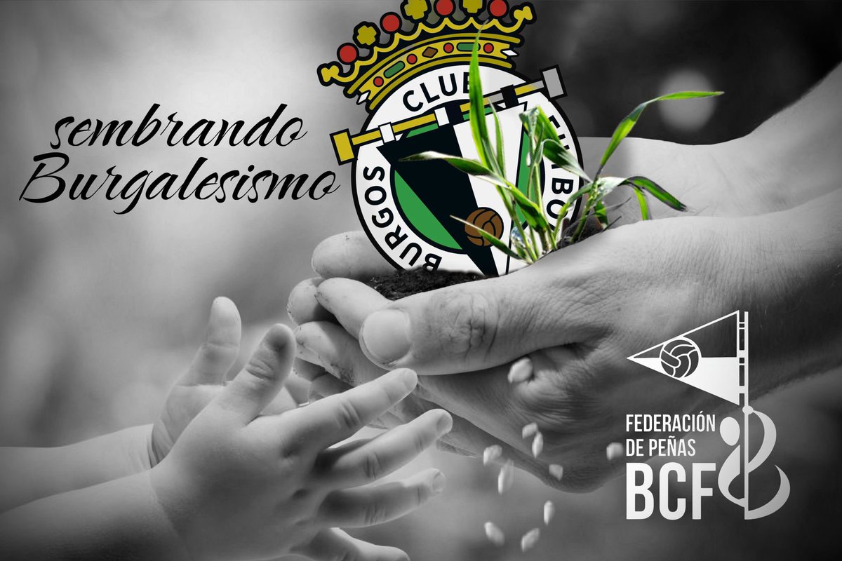 FPBurgosCF's tweet image. Lo prometido es deuda, aquí os traemos las infografías de #SembrandoBurgalesismo.
No nos caben todas así que las ponemos en hilo.