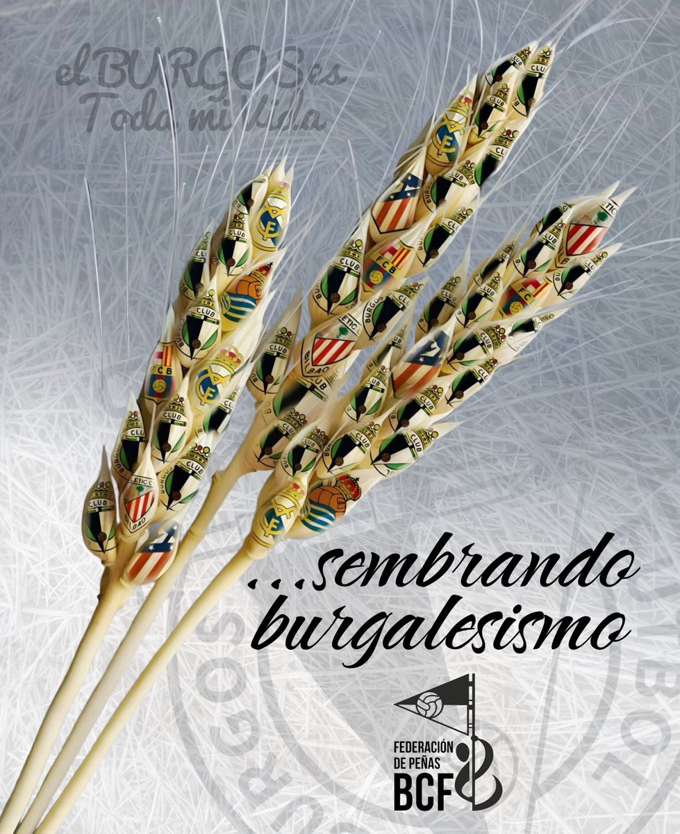 FPBurgosCF's tweet image. Lo prometido es deuda, aquí os traemos las infografías de #SembrandoBurgalesismo.
No nos caben todas así que las ponemos en hilo.