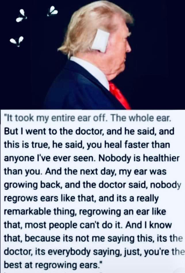 Littlewisehen tweet media