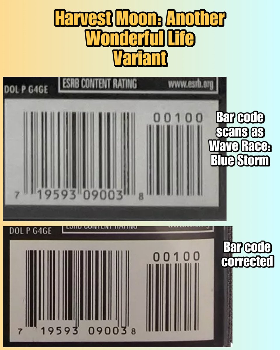 Bird Dog Gaming tweet media